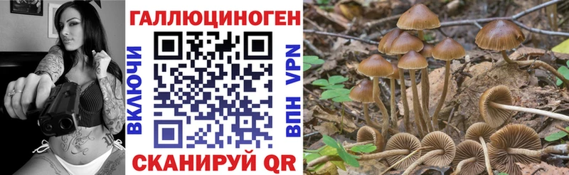 где найти наркотики  Лагань  Галлюциногенные грибы мицелий 